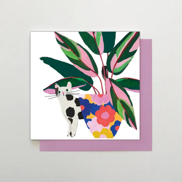 AC01 Cat & Plant Card