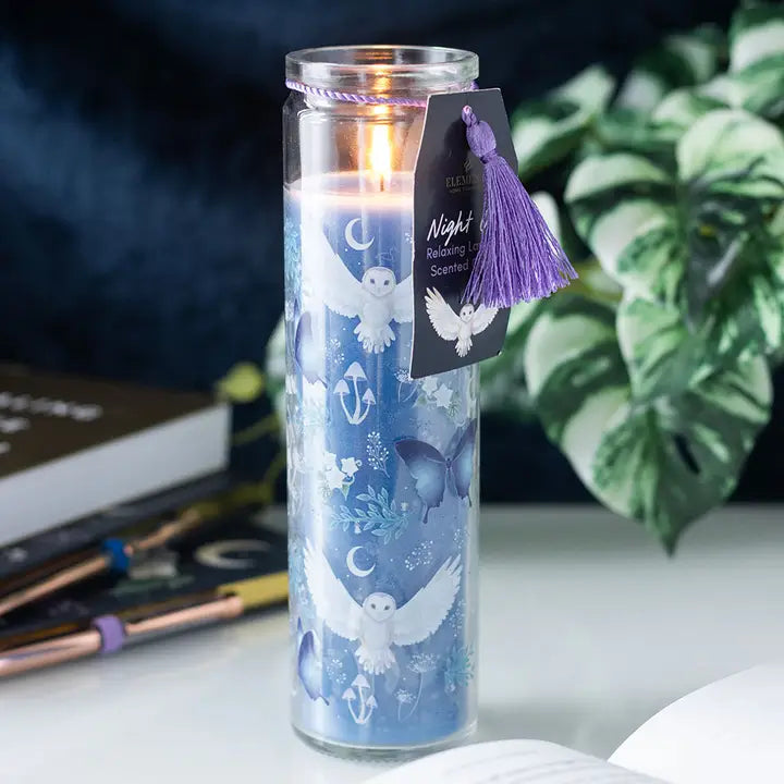 43825 Night Owl Lavender Glass Tube Candle