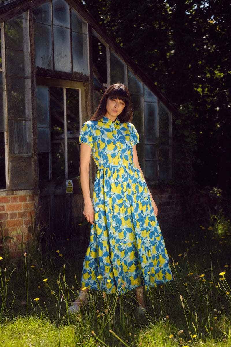 Molly Dress in Apple Blossom Print