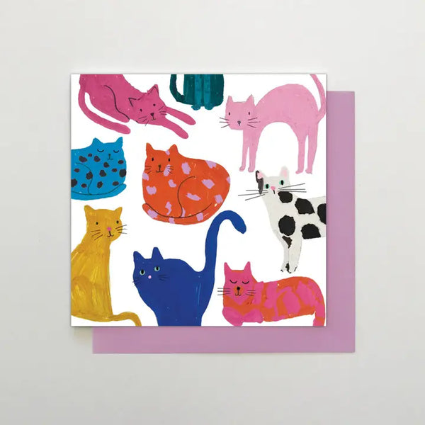 AC03 Cats Card
