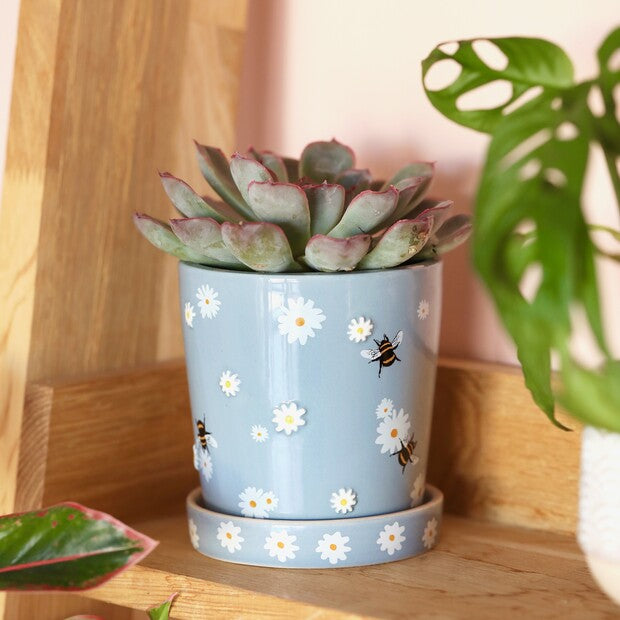 73878 Small Blue Daisy Bee Planter and Tray Planter
