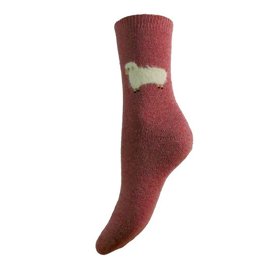 WS504 Light Pink/Sheep Wool Blend Socks (UK4-7)